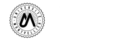 Intranet du département informatique de l'IUT de Montpellier Logo